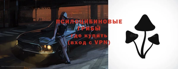 ПСИЛОЦИБИНОВЫЕ ГРИБЫ Киренск