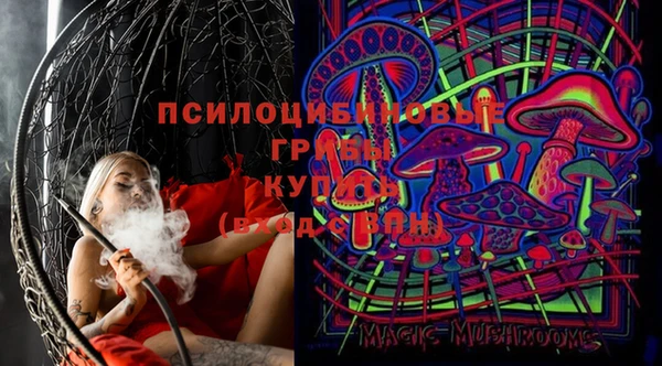 ПСИЛОЦИБИНОВЫЕ ГРИБЫ Киренск